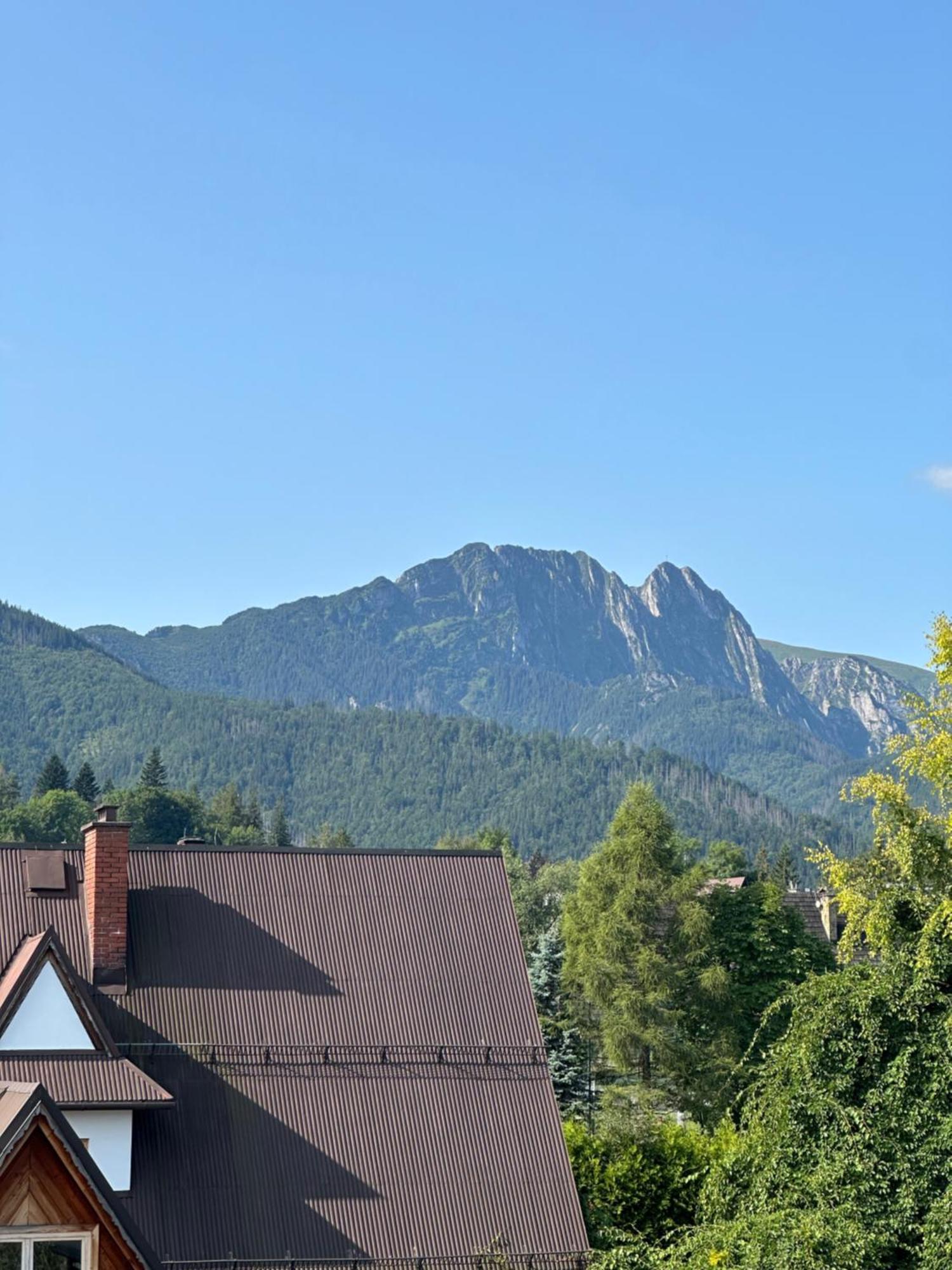 Ryllowka Apartment Zakopane