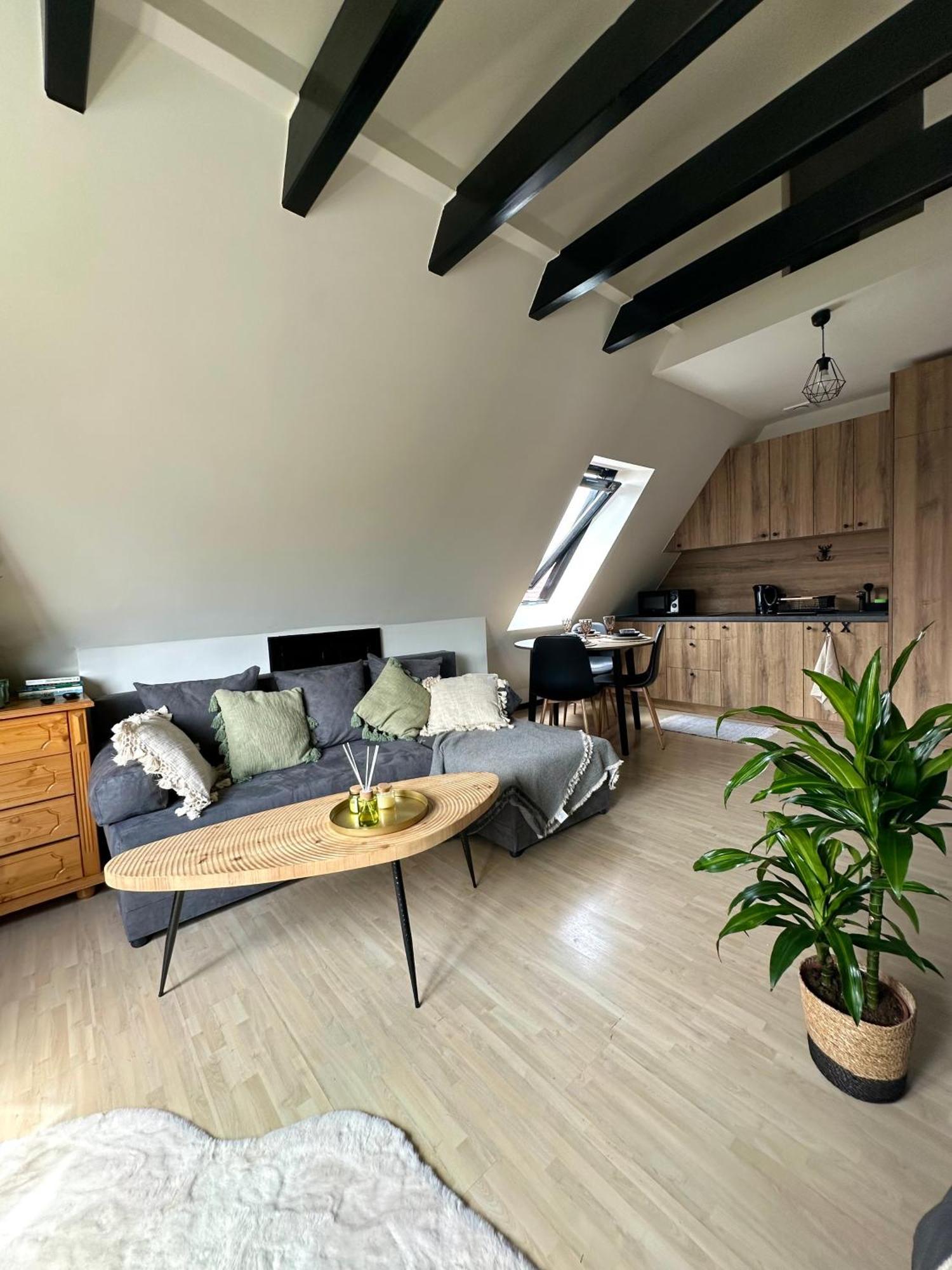 Apartament Ryllowka *